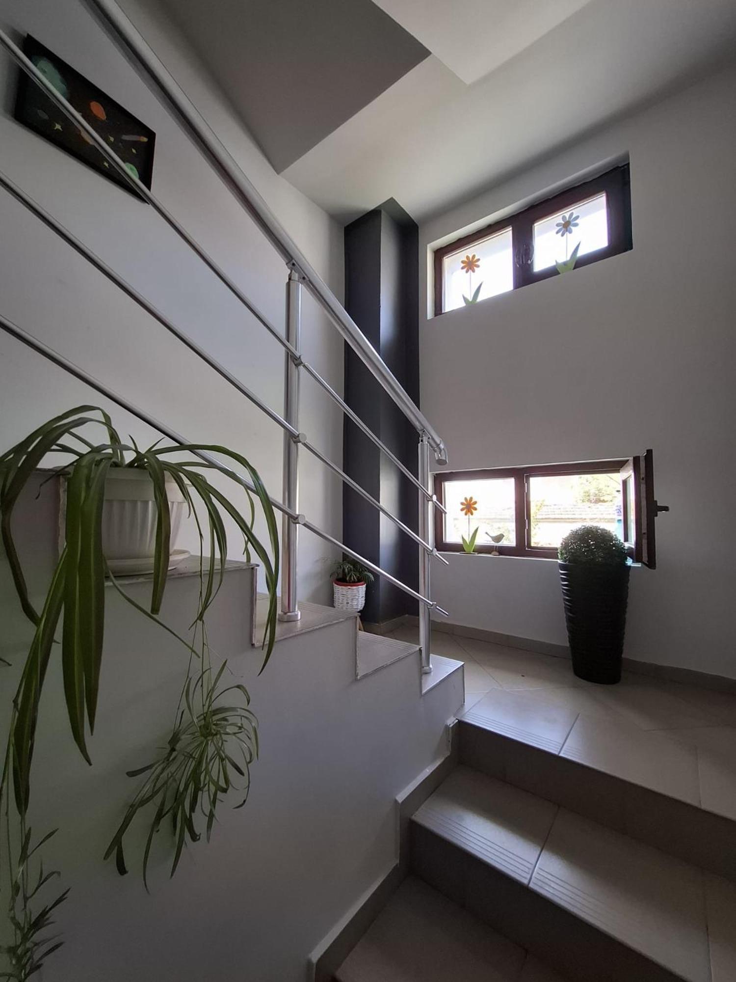 Guest Rooms Simona 2 Opanets ภายนอก รูปภาพ